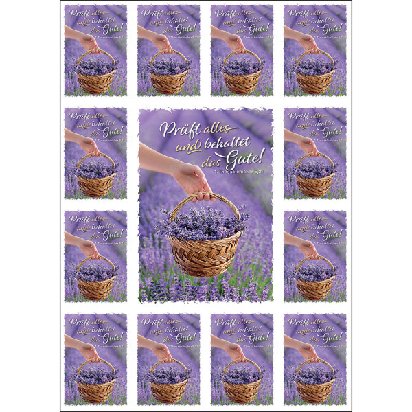 Lavendel Korb Hand Feld