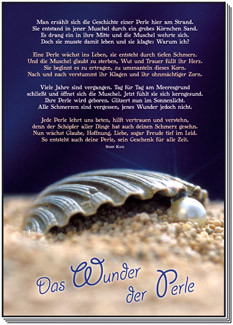 Muschel Perle Sand